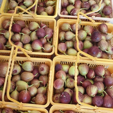 [명절 전 특가!] 농장직송 신안 꿀당도 홍무화과, 1개, 2.2~2.4kg(600g*4팩)