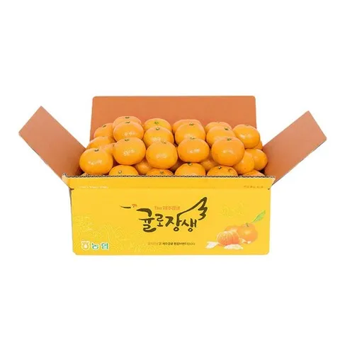 제주농협 귤로장생 하우스감귤 4.5kg x1박스 중대과(L-2L), 1개