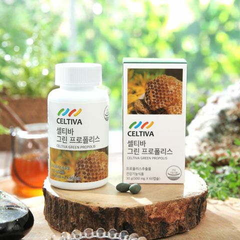 셀티바 그린 프로폴리스 6박스