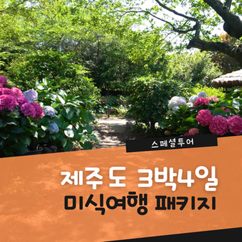 (4월 단하루)제주도 미식여행 3박 4일 패키지