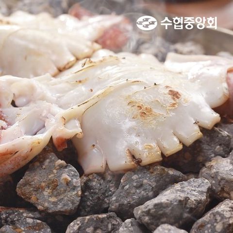 [수협중앙회] 촉촉 손질 오징어 3미 X 8팩 (총 24미)