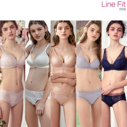 비비안라인핏 드림 노와이어 컬렉션