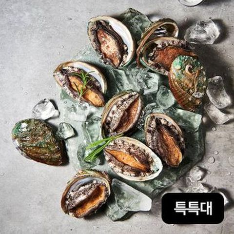 완도 특특大활전복 17+1미(마리당 91g~105g)