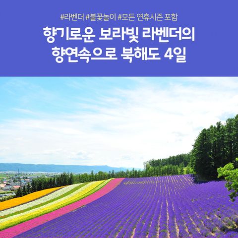 (방송) 노랑풍선 북해도 여행 패키지