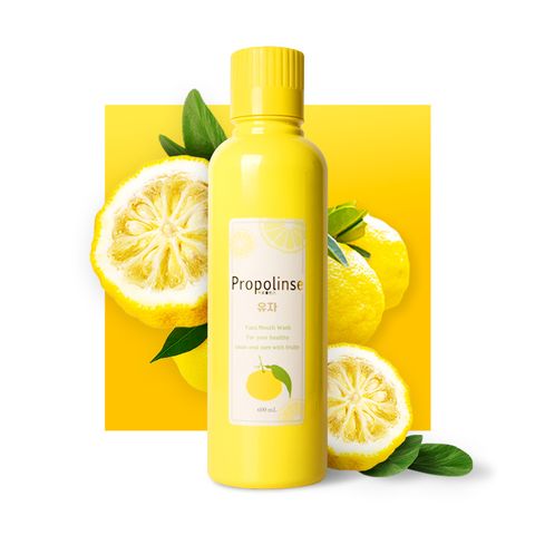 프로폴린스 유자향 600ml*1병
