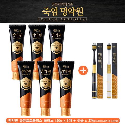 ○[10프로적립][싱글] 골든프로폴리스 플러스 치약 120g*6개 + 프리미엄 칫솔 2개