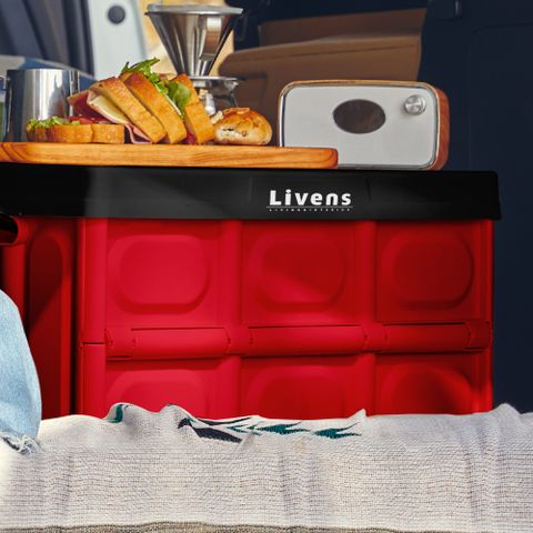 빨간맛 멀티폴딩 수납박스56L 대형/레드 2P