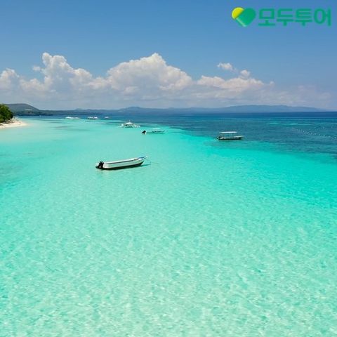 모두원행 보홀[돌핀와치,호핑투어]3/4일 패키지