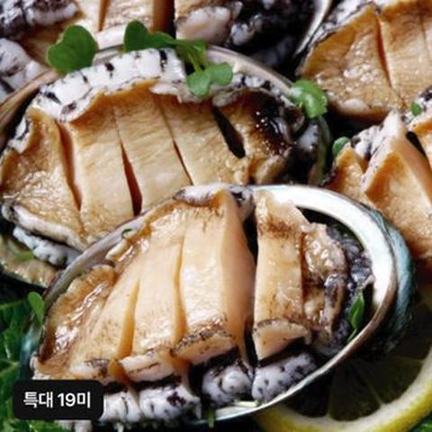 완도 특大활전복 19미