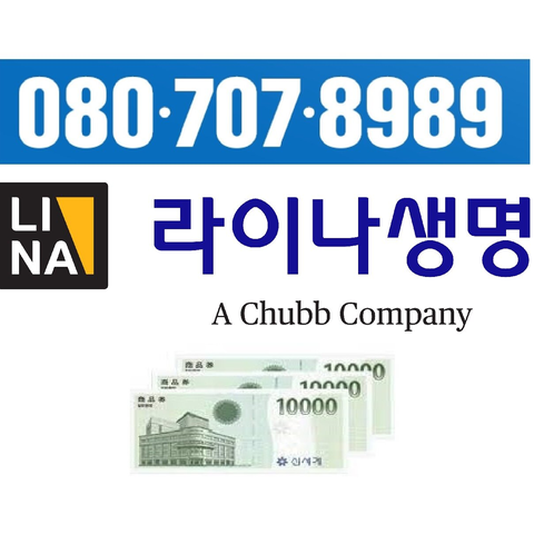 20058875 라이나 더 건강한 치아보험(0826,김)(건)