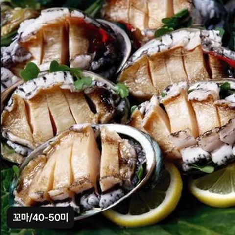 완도 꼬마활전복 40-50미(미당 20g~25g)