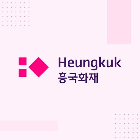 무배당 흥국화재 흥Good The건강한종합보험(바로보장)