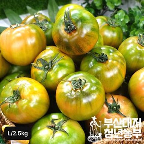 부산대저토마토(L사이즈) 2.5kg