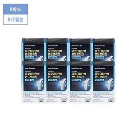 관절연골엔 뮤코다당단백 콘드로이친 1200 8개월분