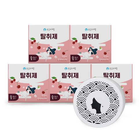 고체형 실내 탈취제 블랙체리 5개 공기정화 욕실주방