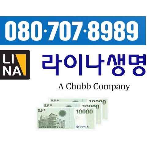 20063325 라이나 더 건강한 치아보험(0313,김)(정)