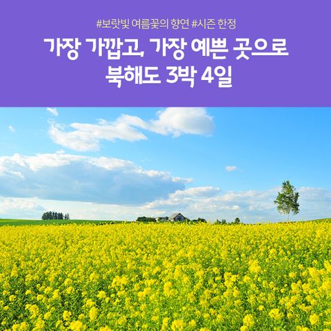 프리미엄 북해도 3박4일 #온천호텔2박