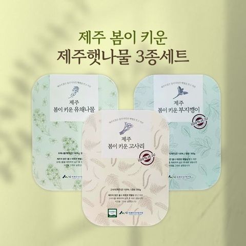 제주 햇 나물 3종(고사리 4팩, 유채나물 2팩, 부지깽이 2팩) 300gx8팩, 총2.4kg