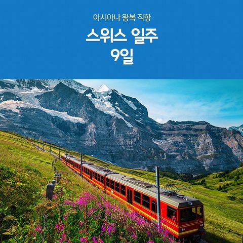 스위스 9일 #아시아나항공 #3대알프스