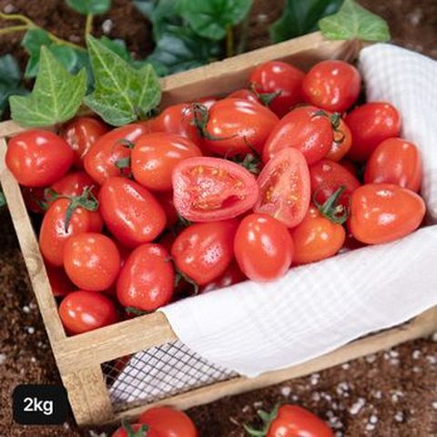 대추방울토마토 2kg
