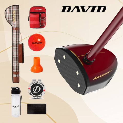 [데이비드] 파크골프채 DP101 8종 세트 (클럽+가방+공+파우치+볼집게+보호필름+볼마커+스포츠보틀)