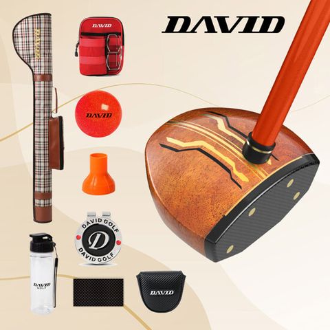 [데이비드] 파크골프채 DP300 9종 세트(클럽+헤드커버+가방+공+파우치+볼집게+보호필름+볼마커+스포츠보틀)