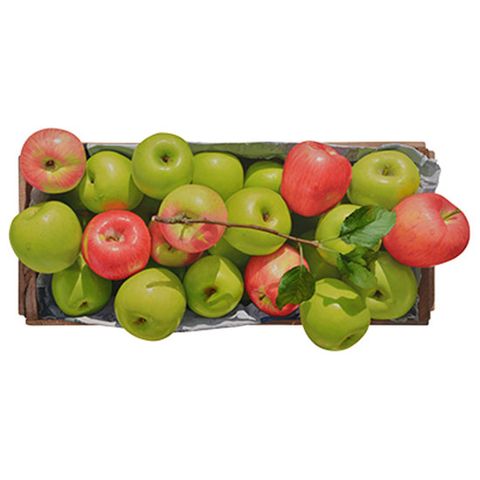 윤병락 / 녹색위의 붉은사과 RAG 2507