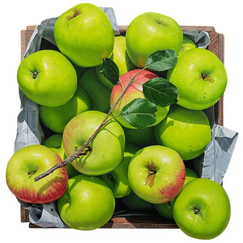 가을향기(청사과) 20호 - 윤병락작가