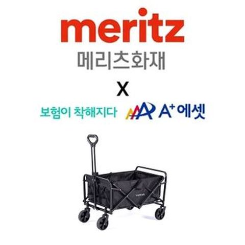 (방문상담)에이플러스에셋X메리츠화재 운전자상해종합보험 화재집중플랜+(상담완료시)바이마르 웨건