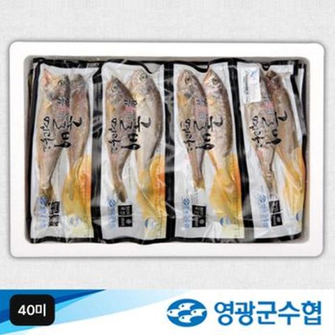 영광군수협 대장대굴비 40미