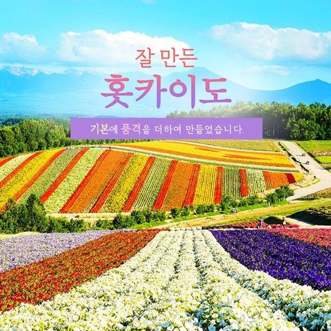 [NO옵션] 더 품격 있게 즐기는 북해도 4일 #꽃피는 비에이/후라노/소운쿄  #호텔 디너 2회 + 게요리/샤브샤브 무제한  #방송에서만 특별 선물