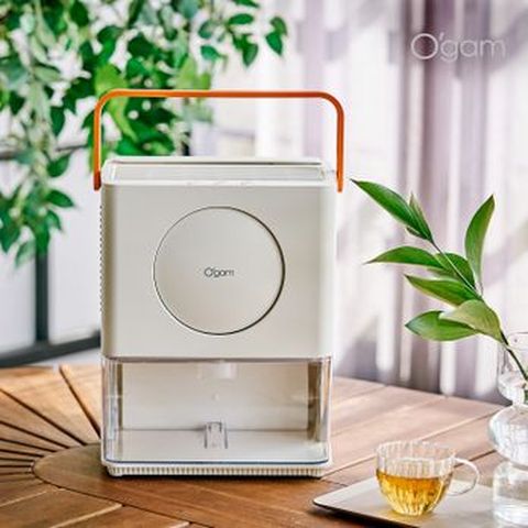오감 공기 청정 미니 제습기