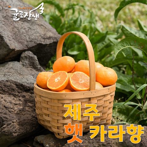[제주농협] 귤로장생 제철 햇 카라향 4kg / 1과당 120∼214g