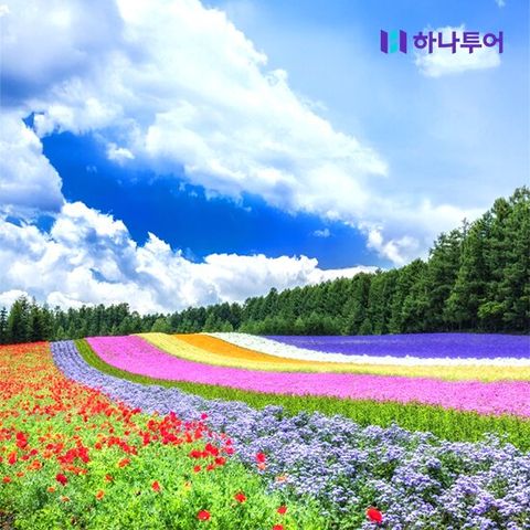 [하나투어/하나팩 2.0] 북해도 4일. NO옵션/NO쇼핑/NO팁. 5성 호텔 1박 포함 4성 온천호텔 2박