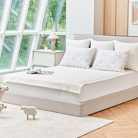 [국민카드5%할인][SS] 룸메이트 워셔블 양모패드 1+1 by 알레르망