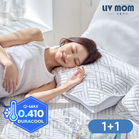 [비밀코드][1+1/2개세트]  매일 바꿔쓰는 듀라쿨 아이스냉감 베개커버 40x60/50x70