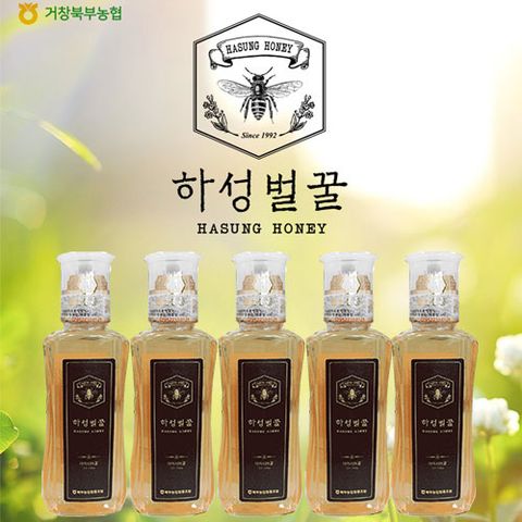 북부농협 거창하성 1등급 천연벌꿀 아카시아 500g x 5병