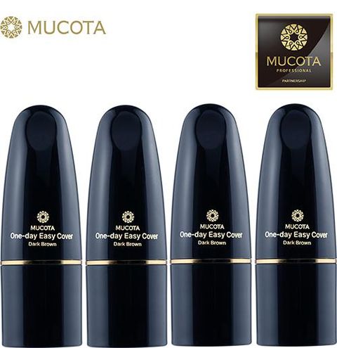 NEW  원데이이지 커버 새치스틱 4개