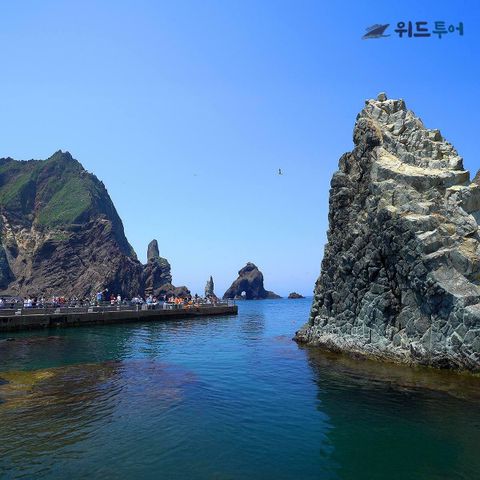 [★위드투어]울릉도/독도 후포항출발 대형크루즈 2박3일 패키지 399천원부터