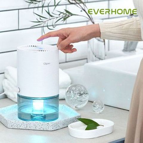 오연수의 에버홈 365제습기 1세트