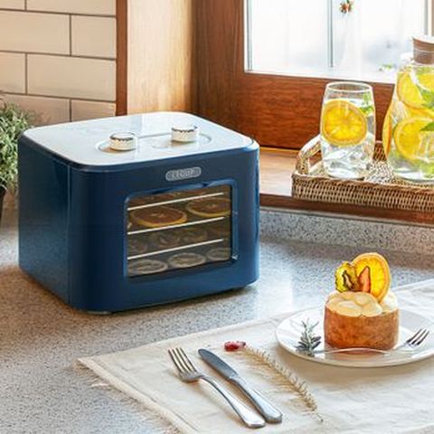 리큅 미니 4단 식품건조기 LD-401SP 블루