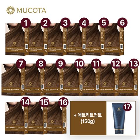 [트리트먼트 본품/스페셜]  正品 트리트먼트 염색제 시즌2