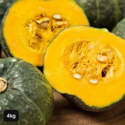 제주 미니 밤호박 4kg