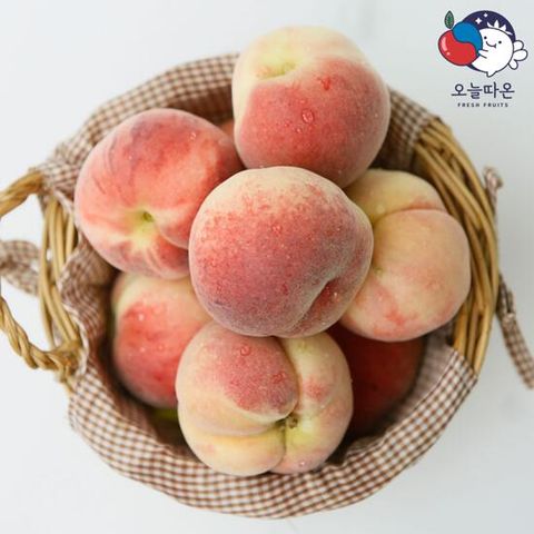 [오늘따온]프리미엄 햇 대극천 복숭아 2kg / 1kg x 2박스