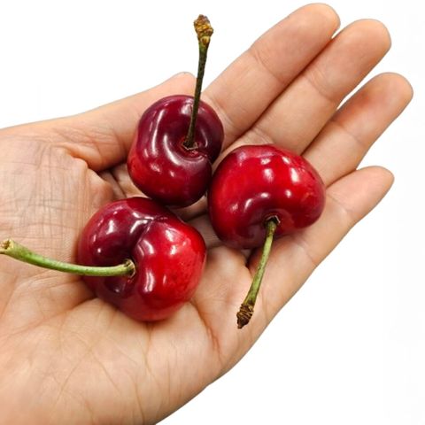 항공직송 미국산 생 체리 1.5kg (10row)