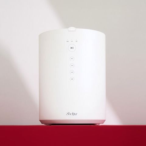 25년 최신상 쉘퍼 대용량 워셔블 음식물처리기 맥스 5.5L DFFP-MAX100