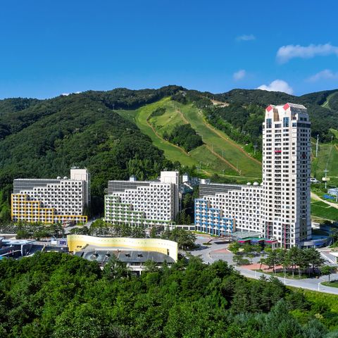 휘닉스파크 1박 2인