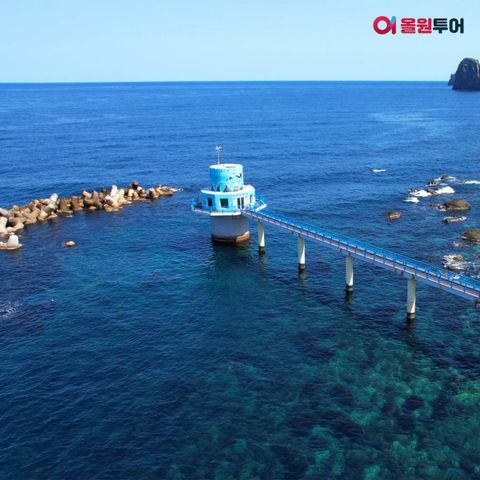 [★올원투어]울릉도+독도 포항항 출발 대형크루즈 3박4일 499천원부터