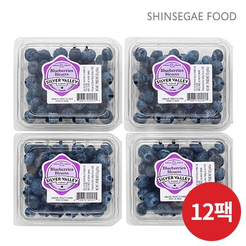 [항공직수입]실버밸리팜스 캐나다 생블루베리 12팩(125g*12팩) (2)