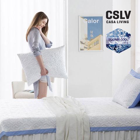 [수정샵]SS_쿨리즘에디션 냉감 쿨링 패드1종+베개커버1